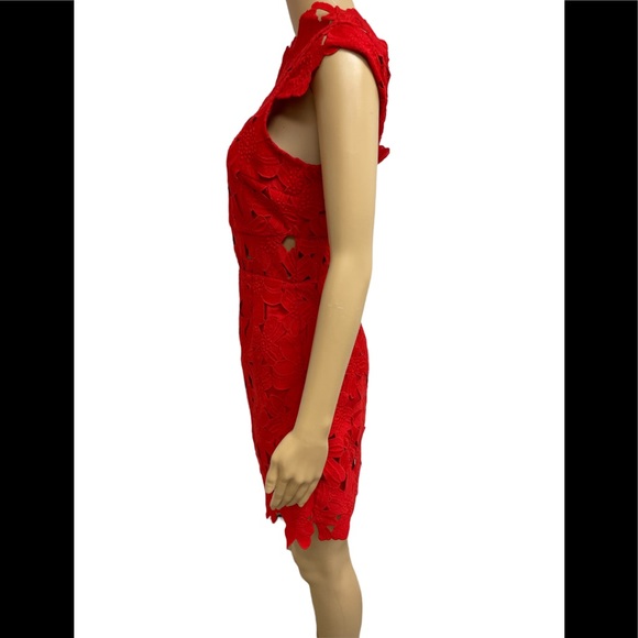 Piper Lace High Collar Mini Dress - Picture 6 of 12